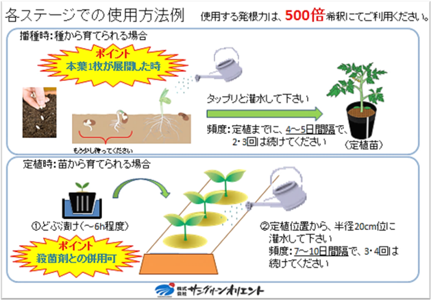 発根力 - 株式会社サングリーンオリエント